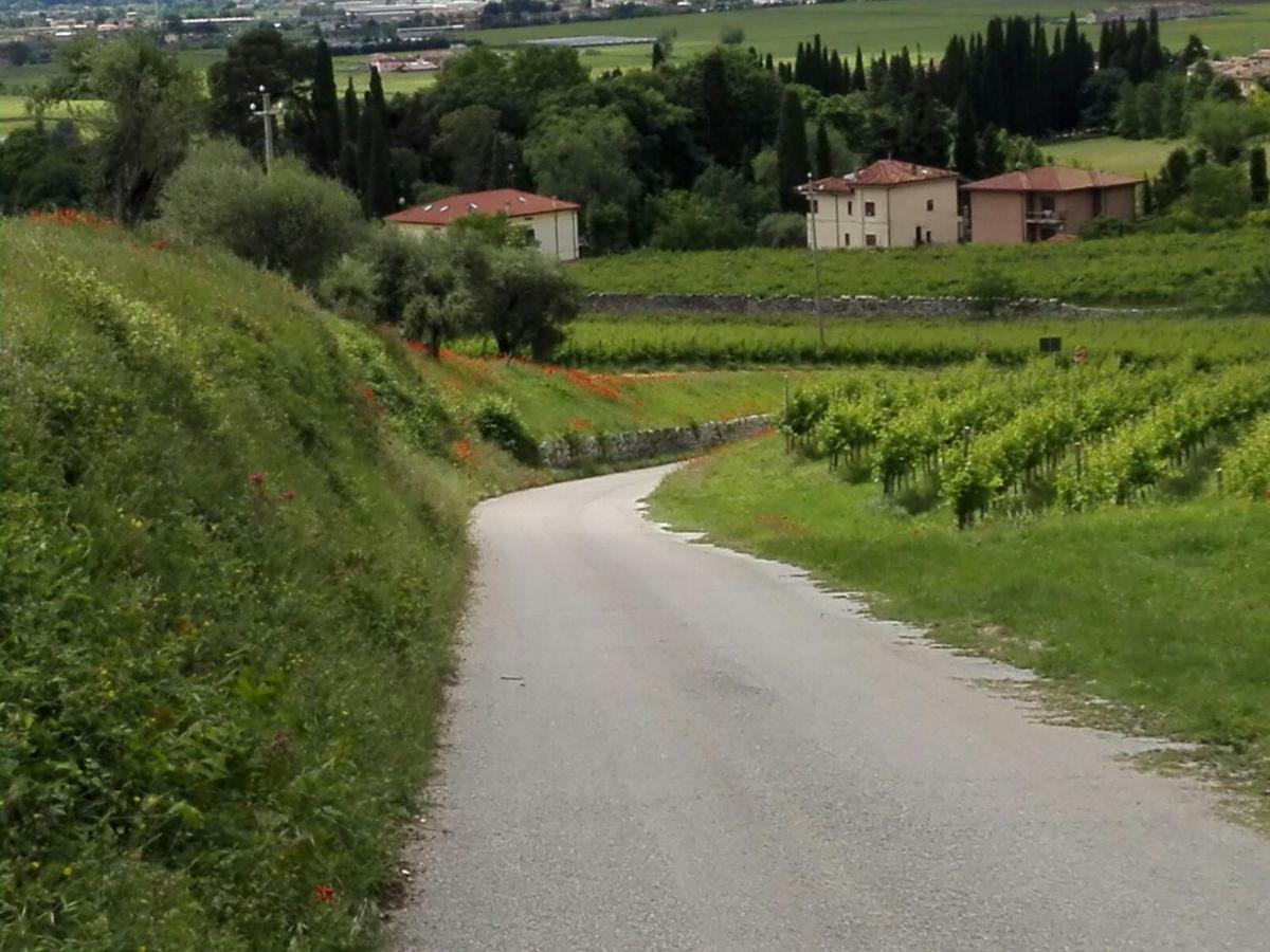B&B Corte Giare SantʼAmbrogio di Valpolicella Exterior foto